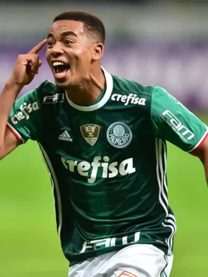 Camisa do Palmeiras — 2010–2018