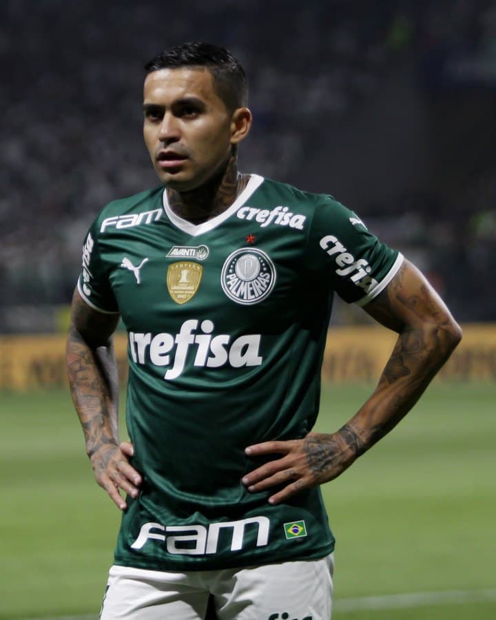Camisa do Palmeiras — 2019–2024