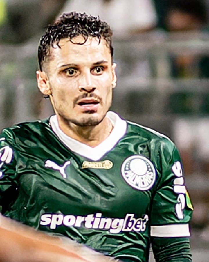 Camisa do Palmeiras — 2025–atual