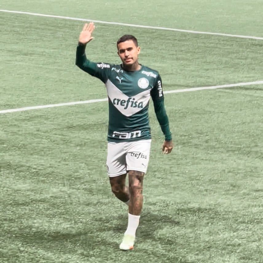 Dudu, capitão do Palmeiras decacampeão de 2018